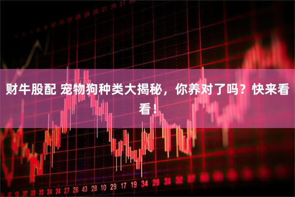 财牛股配 宠物狗种类大揭秘，你养对了吗？快来看看！