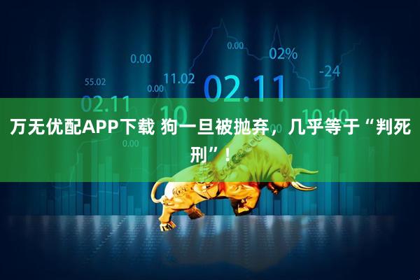 万无优配APP下载 狗一旦被抛弃，几乎等于“判死刑”！
