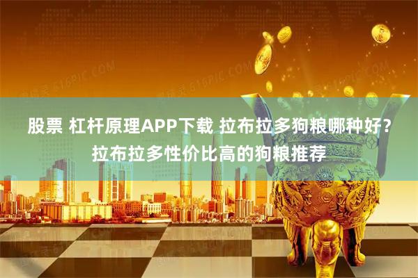 股票 杠杆原理APP下载 拉布拉多狗粮哪种好？拉布拉多性价比高的狗粮推荐
