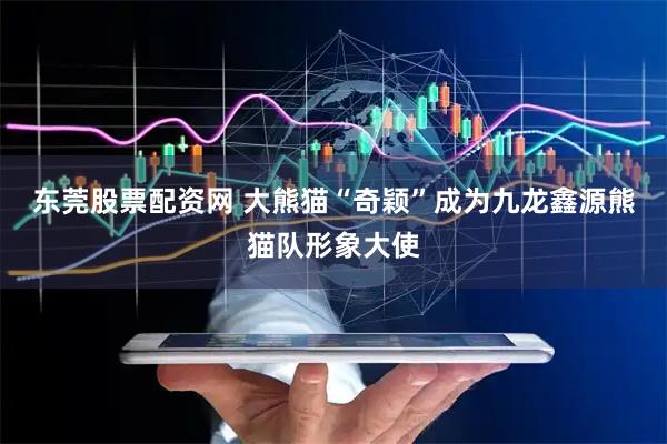 东莞股票配资网 大熊猫“奇颖”成为九龙鑫源熊猫队形象大使