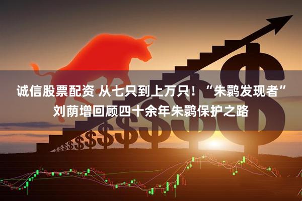 诚信股票配资 从七只到上万只！“朱鹮发现者”刘荫增回顾四十余年朱鹮保护之路