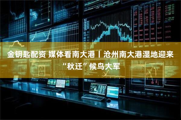 金钥匙配资 媒体看南大港丨沧州南大港湿地迎来“秋迁”候鸟大军