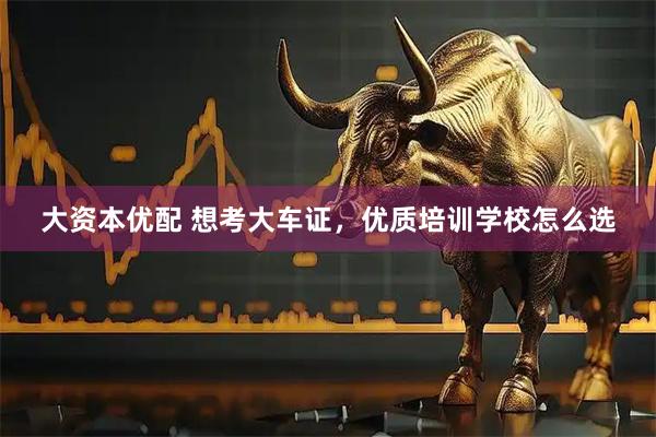 大资本优配 想考大车证，优质培训学校怎么选