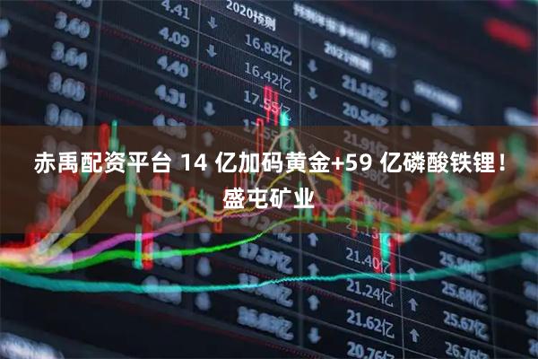 赤禹配资平台 14 亿加码黄金+59 亿磷酸铁锂！盛屯矿业