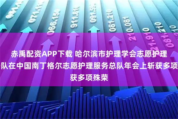 赤禹配资APP下载 哈尔滨市护理学会志愿护理服务队在中国南丁格尔志愿护理服务总队年会上斩获多项殊荣