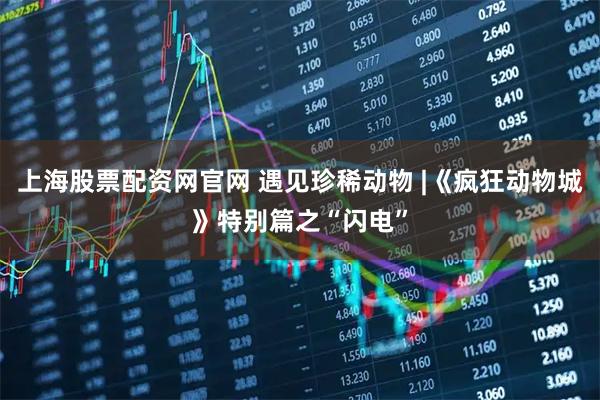 上海股票配资网官网 遇见珍稀动物 |《疯狂动物城》特别篇之“闪电”